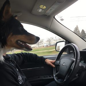 Meet your Posher, Bryan